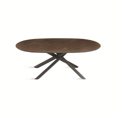 Mesa fija ovalada con tapa de Roble Térmico 210 cm RON