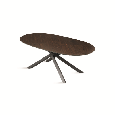 Mesa fija ovalada con tapa de Roble Térmico 210 cm RON