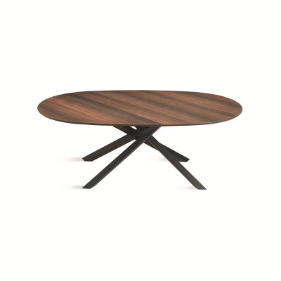 Mesa fija ovalada con tapa de Eucalipto 210 cm RON