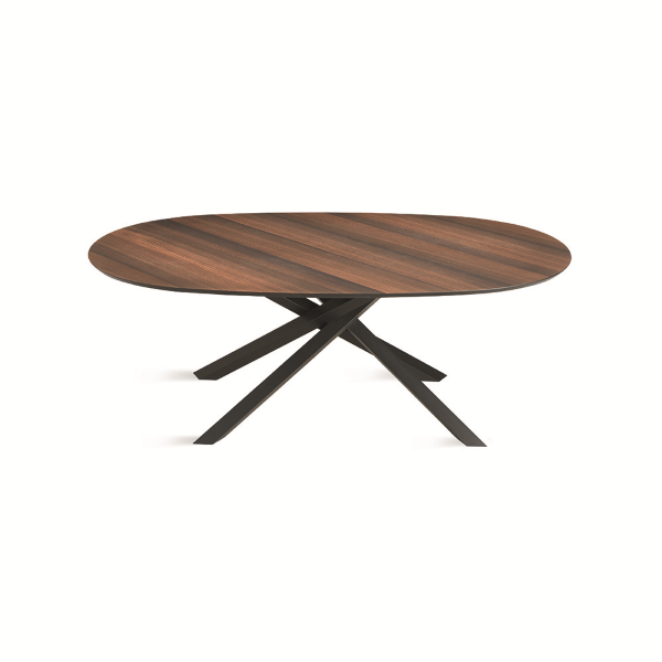 Mesa fija ovalada con tapa de Eucalipto 210 cm RON