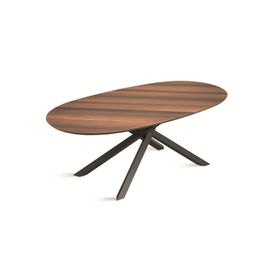 Mesa fija ovalada con tapa de Eucalipto 210 cm RON