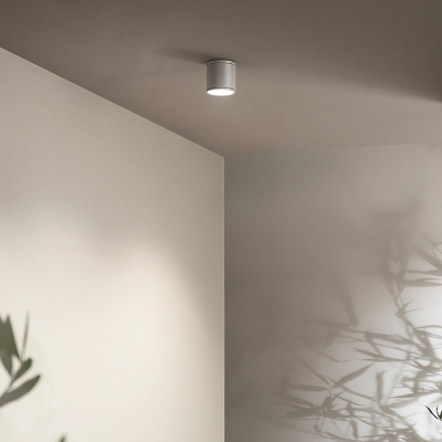 JUBO outdoor ceiling light in Silver aluminum with glass diffuser D9 cm