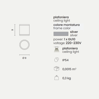 JUBO outdoor ceiling light in Silver aluminum with glass diffuser D9 cm