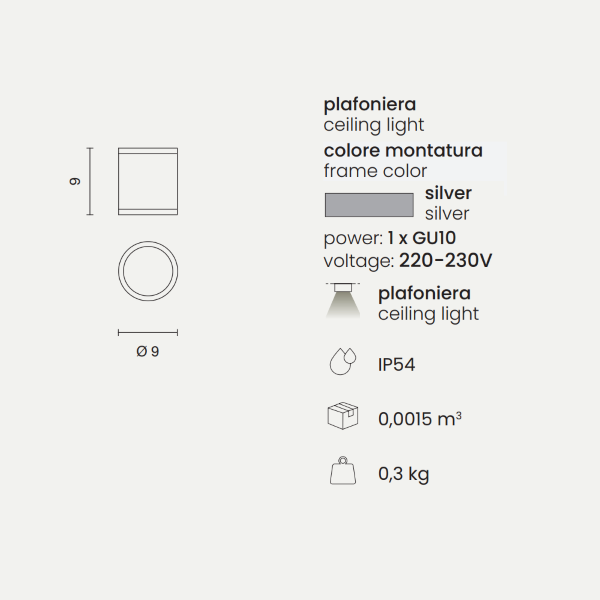 JUBO outdoor ceiling light in Silver aluminum with glass diffuser D9 cm