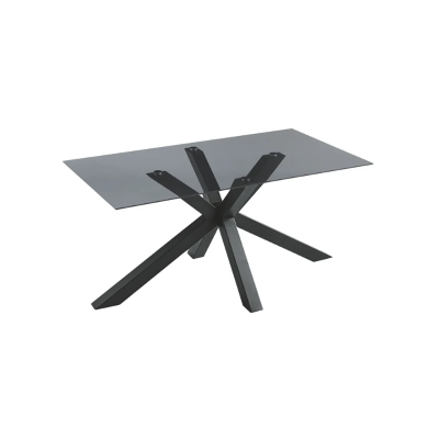 DANTE Esstisch mit Rauchglasplatte und Metallgestell 160x90 cm