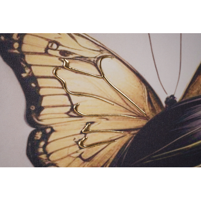 Quadro su tela 60x90 cm donna farfalla moderno verticale