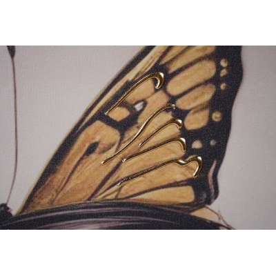 Quadro su tela 60x90 cm donna farfalla moderno verticale