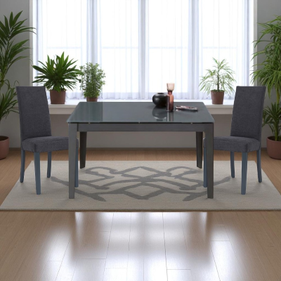 Chaise de salle à manger en tissu anthracite DENVER - Lot de 2
