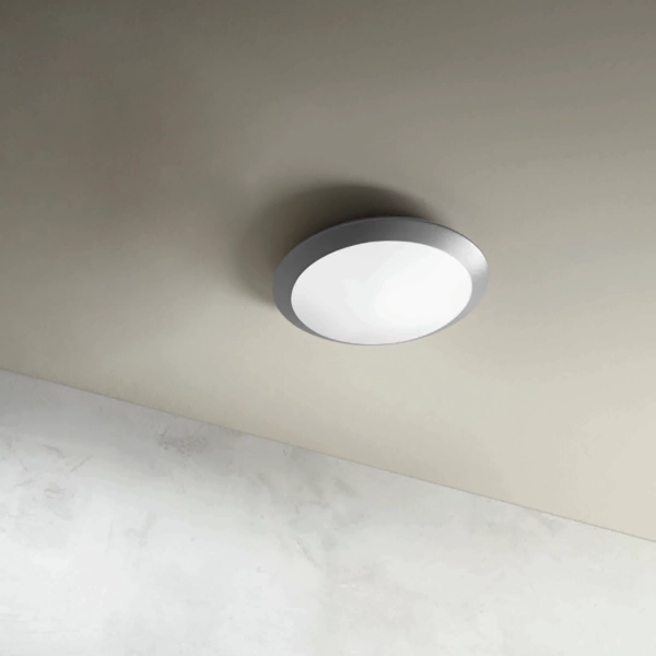 Aplique exterior IP65 grado luz E27- BASE plata D30 cm