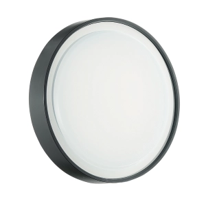 Plafonnier extérieur LED anthracite D25 - AIDI 15W IP65